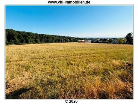 Landwirtschaftliche Fläche zum Kauf 129.800 € 10.500 m² Grundstück Hofheim Hofheim am Taunus 65719