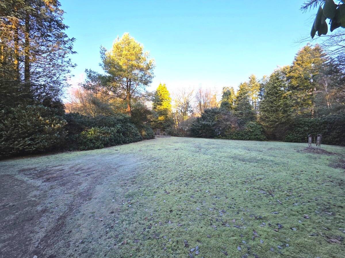 Immobilie in Hatten - Großzügiges Grundstück mit Potenzial - Ferienhaus/Baugrundstück in Hatten - Bild 2