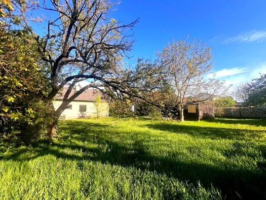 Grundstück zum Kauf 940.000 € 1.064 m² Grundstück Donaustadt 1220
