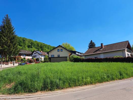 Grundstück zum Kauf provisionsfrei 275.000 € 553 m² Grundstück Neckargemünd 69151