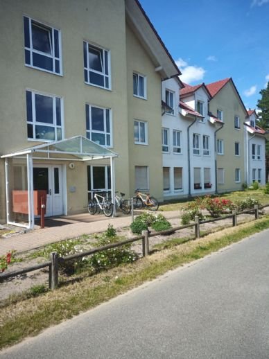 Wohnung zur Miete 251 € 2 Zimmer 55,5 m²<br/>Wohnfläche EG<br/>Geschoss Kiefernweg 9 Britz 16230