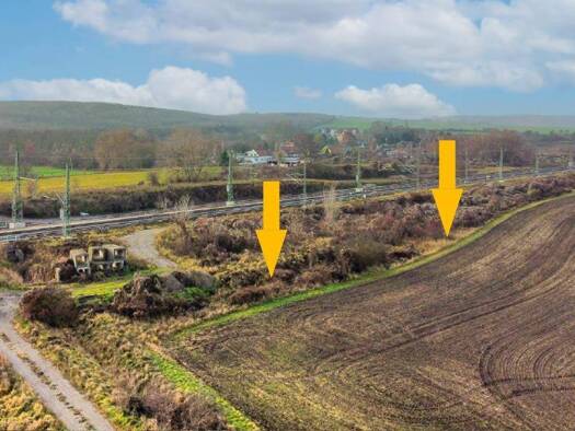 Land-/Forstwirtschaft zur Versteigerung 850 € 2.976 m² Grundstück Röblingen am See Seegebiet Mansfelder Land 06317