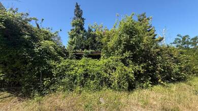 Grundstück zum Kauf 190.000 € 1.250 m² Grundstück Schkeuditz Schkeuditz 04435