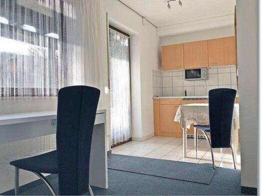 Terrassenwohnung zur Miete 290 € 1 Zimmer 20 m² frei ab sofort Aisch Adelsdorf 91325