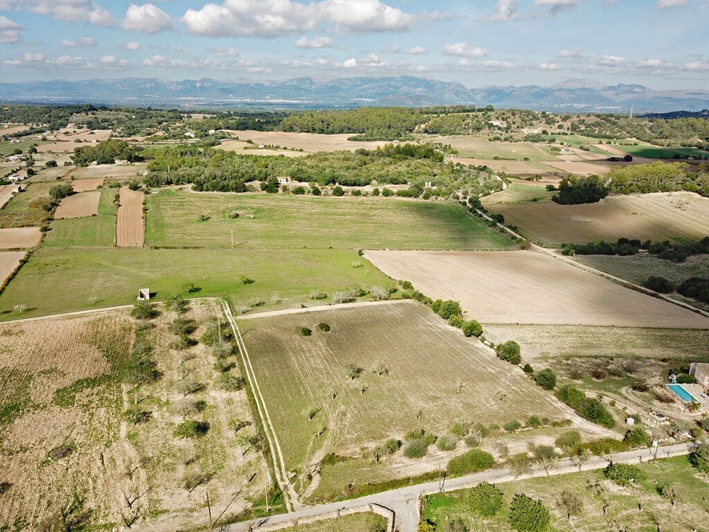 Grundstück zum Kauf 320.000 € 15.002 m²<br/>Grundstück Sineu 07510