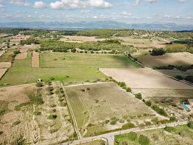 Grundstück zum Kauf 320.000 € 15.002 m² Grundstück Sineu 07510