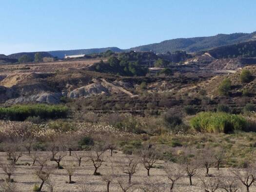 Acker-/Waldstück zum Kauf 150.000 € San Miguel de Salinas 03193