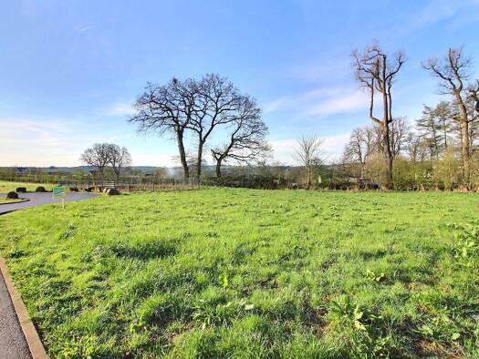 Grundstück zum Kauf provisionsfrei 85.000 € 820 m² Grundstück Amblève Amel 4770