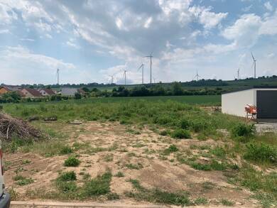 Grundstück zum Kauf 214.000 € 576 m² Grundstück Wachenheim 67591