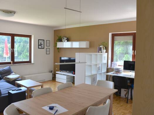 Wohnung zur Miete 463 € 2 Zimmer 60,2 m² Gries Graz 8055