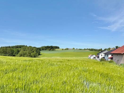 Land-/Forstwirtschaft zum Kauf 2.340.000 € 36.000 m² Grundstück Zangberg 84539