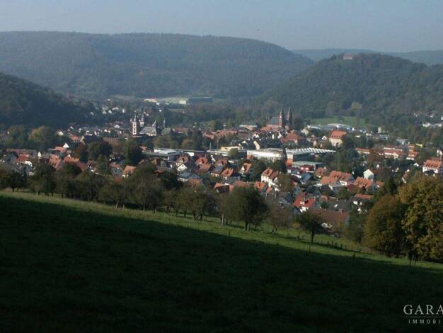 Grundstück zum Kauf 235.000 € 4.080 m² Grundstück Amorbach Amorbach 63916