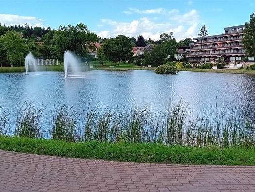 Wohnung zum Kauf 39.000 € 2,5 Zimmer 38 m² Hahnenklee Goslar 38644