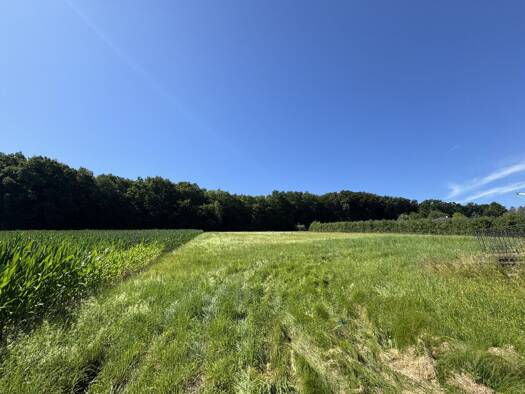 Grundstück zum Kauf 3.000 m² Grundstück Fehring 8350