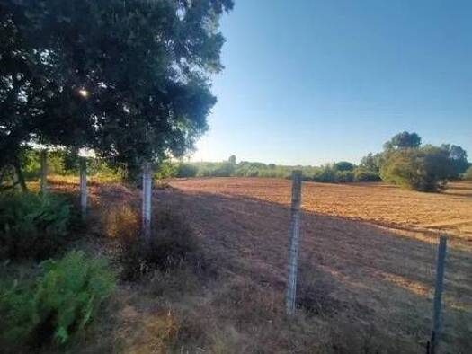 Grundstück zum Kauf 150.000 € Vereda De Los Labrados No Number Villamanrique de la Condesa 41850