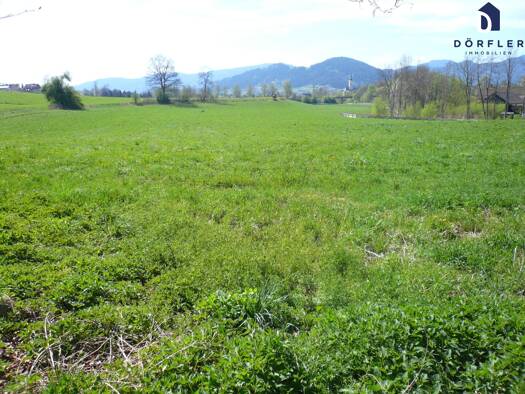 Landwirtschaftliche Fläche zum Kauf 89.000 € 9.425 m² Grundstück Feldkirchen in Kärnten 9560