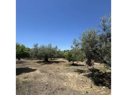 Acker-/Waldstück zum Kauf 220.000 € Calle Puente Don Manuel 2 Alcaucín 29713