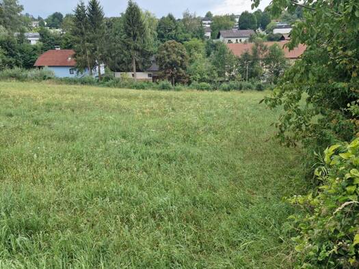 Grundstück zum Kauf 7.338 m² Grundstück Thalheim bei Wels 4600