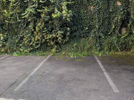 Stellplatz zur Miete provisionsfrei 70 € Bucher Str. 78 St Johannis Nürnberg 90408