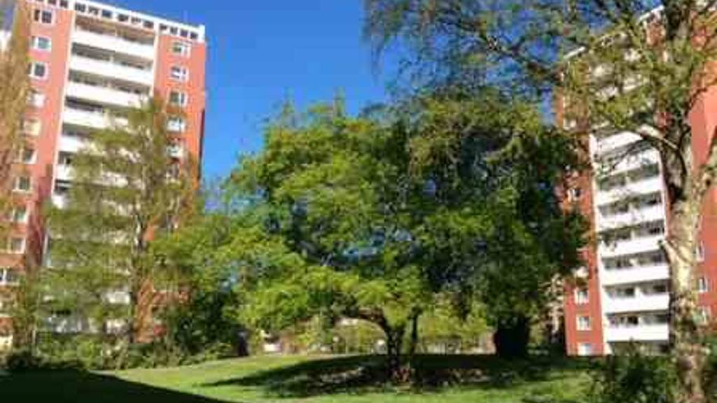 Studio zur Miete 380 € 1 Zimmer 31,6 m² 9. Geschoss frei ab 02.06.2026 Hindenburgdamm 70 Pinneberg 25421