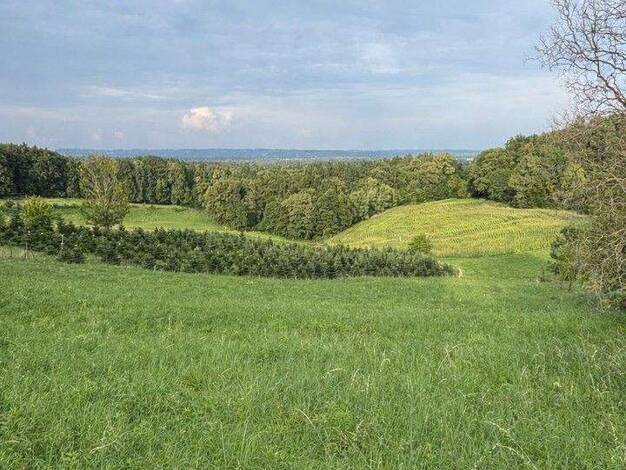 Grundstück zum Kauf provisionsfrei 140.000 € 1.375 m² Grundstück Maxlonerstraße Maxlon 8434