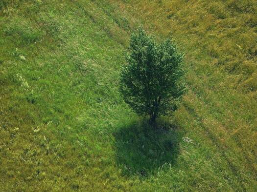 Grundstück zum Kauf provisionsfrei 250.000 € 602 m² Grundstück Baugenehmigung vorhanden Bad Dürrheim 78073