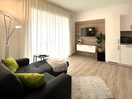 Studio zur Miete auf Zeit 1.195 € 1 Zimmer 36 m² Römerstraße 32 Obernburg Obernburg a.Main 63785
