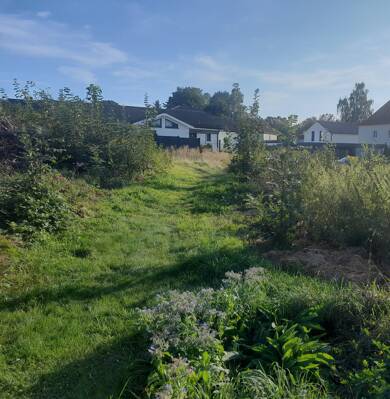 Grundstück zum Kauf provisionsfrei 55.500 € 427 m² Grundstück Baugenehmigung vorhanden Joseph Haydnstr 7 Werdau Werdau 08412