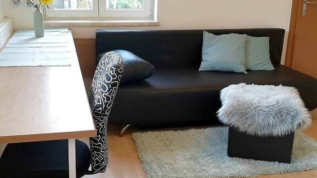 Wohnung zur Miete Wohnen auf Zeit 719 € 1 Zimmer 25 m² frei ab 01.02.2027 Straßgang Graz 8053