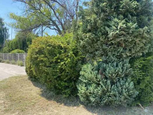 Logistikzentrum zum Kauf provisionsfrei 783.000 € Dunaharaszti