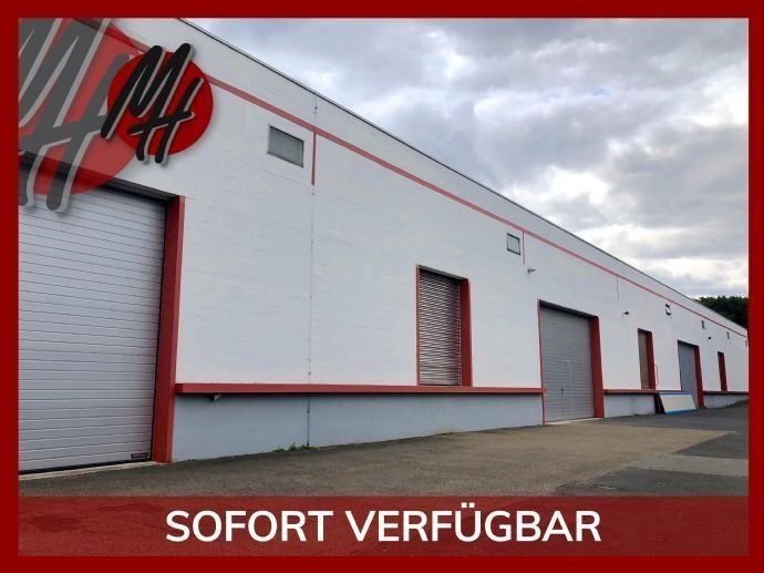 Lagerhalle zur Miete 6 € 600 m²<br/>Lagerfläche ab 600 m²<br/>Teilbarkeit Schwalbach 65824