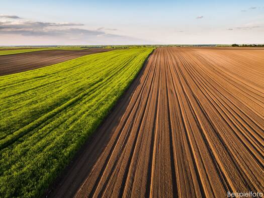 Land-/Forstwirtschaft zum Kauf 10.690 m² Grundstück Achsheim Langweid am Lech 86462