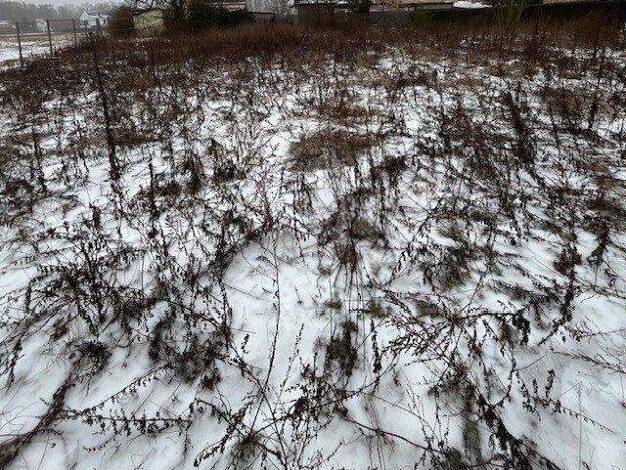 Grundstück zum Kauf provisionsfrei 145.000 € 360 m² Grundstück Rahnsdorf Berlin 12589