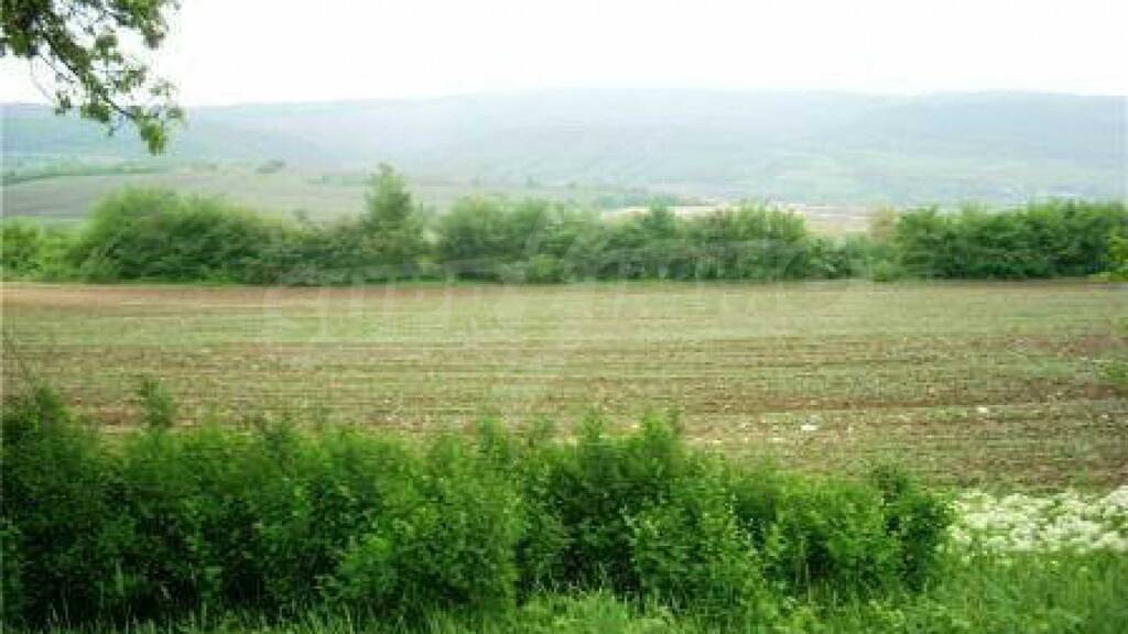 Land-/Forstwirtschaft zum Kauf 89.000 € Veliko Tarnovo