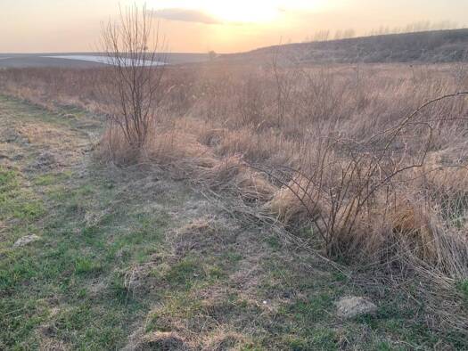 Freifläche zum Kauf 40 € Roseldorf 2002