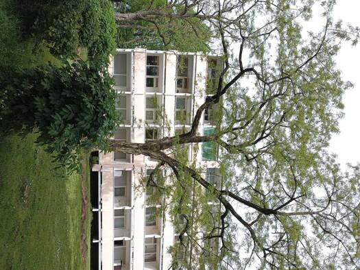 Wohnung zur Miete 790 € 3 Zimmer 79 m² Geschoss 1/4 frei ab 01.05.2026 Nied Frankfurt am Main 65934