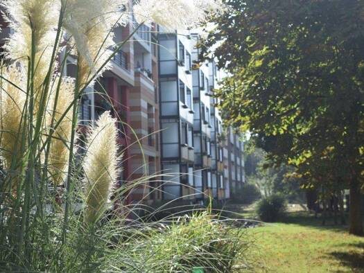 Wohnung zur Miete 435 € 3 Zimmer 60 m² 4. Geschoss frei ab 01.02.2026 Wolfframsdorffstraße 15 Innenstadt Dessau-Roßlau 06844