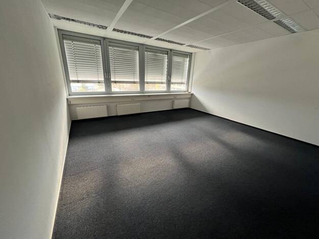 Bürofläche zur Miete provisionsfrei 36,5 m² Bürofläche Rövertannen 13 Güstrow Güstrow 18273