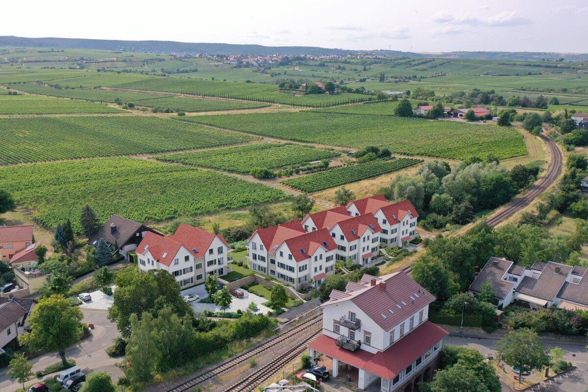 Immobilie in Erpolzheim -  BARRIEREFREIE 4-ZIMMER-WOHNUNG MIT BLICK IN DIE WEINREBEN - Bild 4