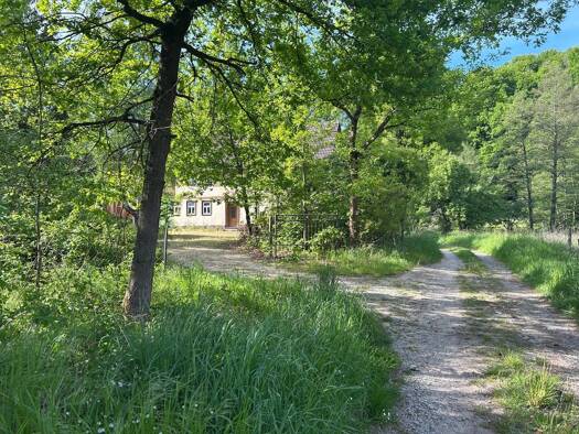 Bauernhaus zum Kauf 180.000 € 170 m² 3.300 m² Grundstück Neukirchen Haunetal 36166