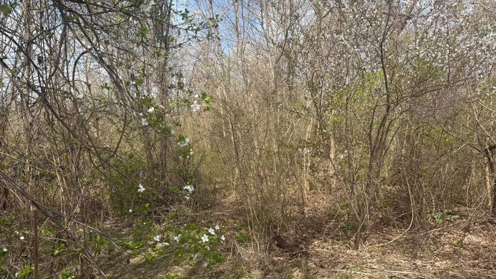 Grundstück zum Kauf 11.932 m² Grundstück Baden 2500