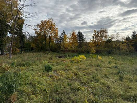 Grundstück zum Kauf 316.500 € 828 m² Grundstück Weinböhla 01689