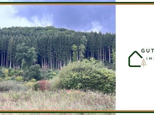 Land-/Forstwirtschaft zum Kauf 155.000 € 48.871 m² Grundstück Densborn 54570