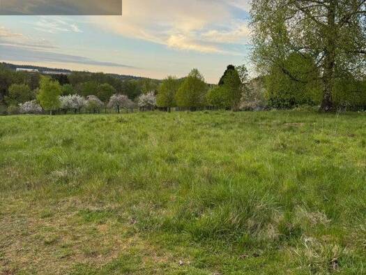 Grundstück zum Kauf 179.000 € 1.604 m² Grundstück Landscheid 54526