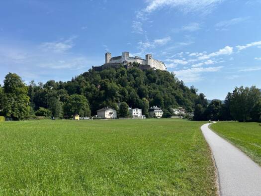 Wohnung zum Kauf - Erstbezug 870.000 € 3 Zimmer 84,2 m² EG frei ab sofort Johannes-Filzer-Straße 4 Aigen I Salzburg 5020
