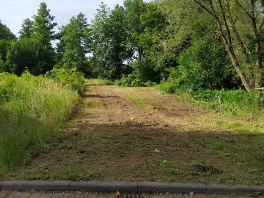 Grundstück zum Kauf 49.000 € 576 m² Grundstück Steinau Steinau an der Straße 36396