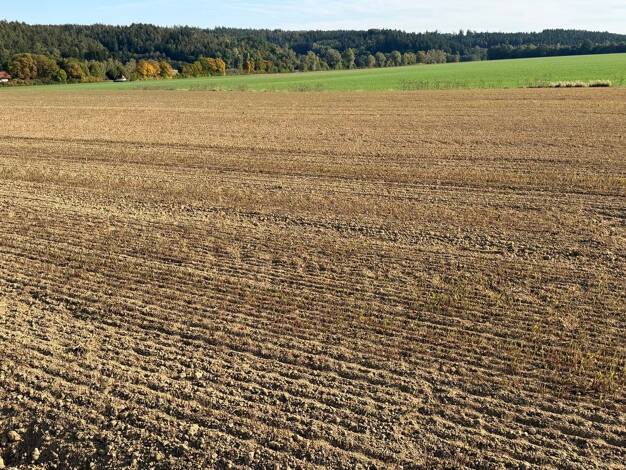 Landwirtschaftliche Fläche zum Kauf 26.941 m² Grundstück Güntering Pleiskirchen 84568