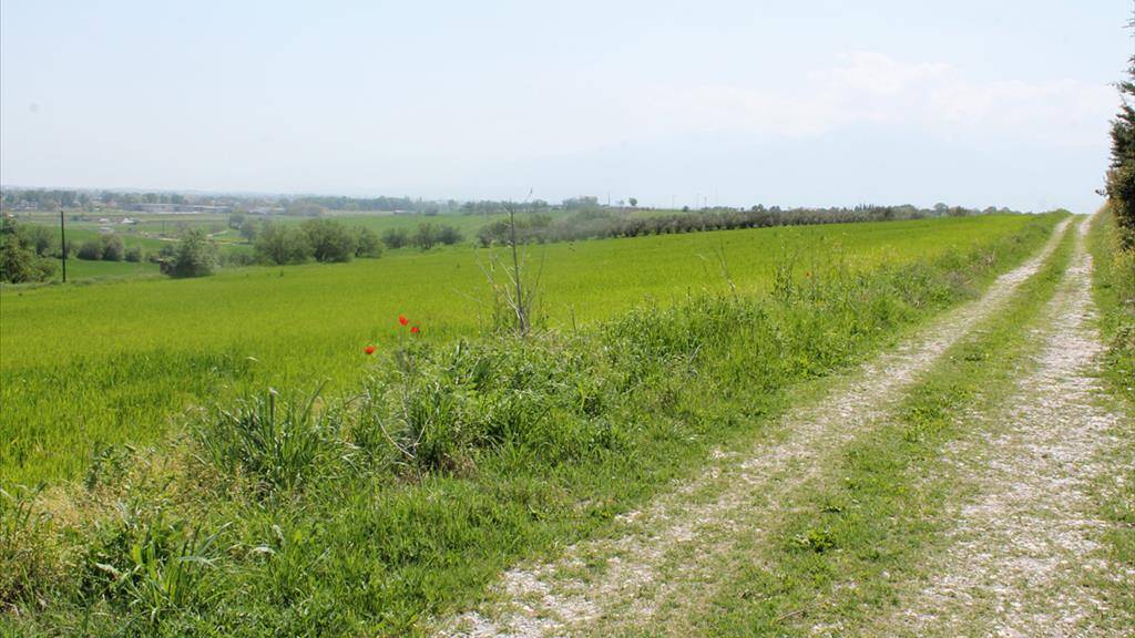 Land-/Forstwirtschaft zum Kauf 100.000 € 7.000 m² Grundstück Olympische Riviera