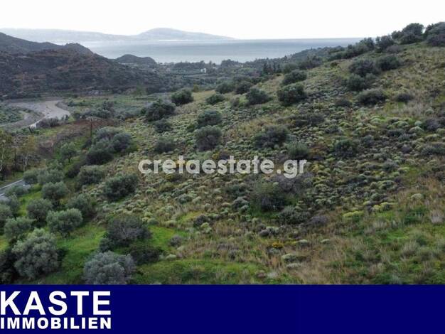 Grundstück zum Kauf 350.000 € 2.500 m² Grundstück Farkadona Municipality