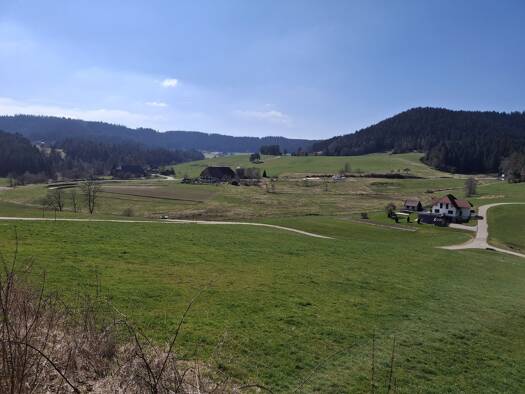 Bauernhaus zum Kauf 6 Zimmer 332 m² 20.387 m² Grundstück Lauterbach Ortsteil: Sulzbach 78730